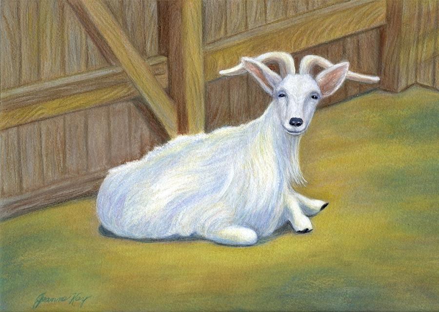 Billy the Goat #3 Painting by Jeanne Juhos