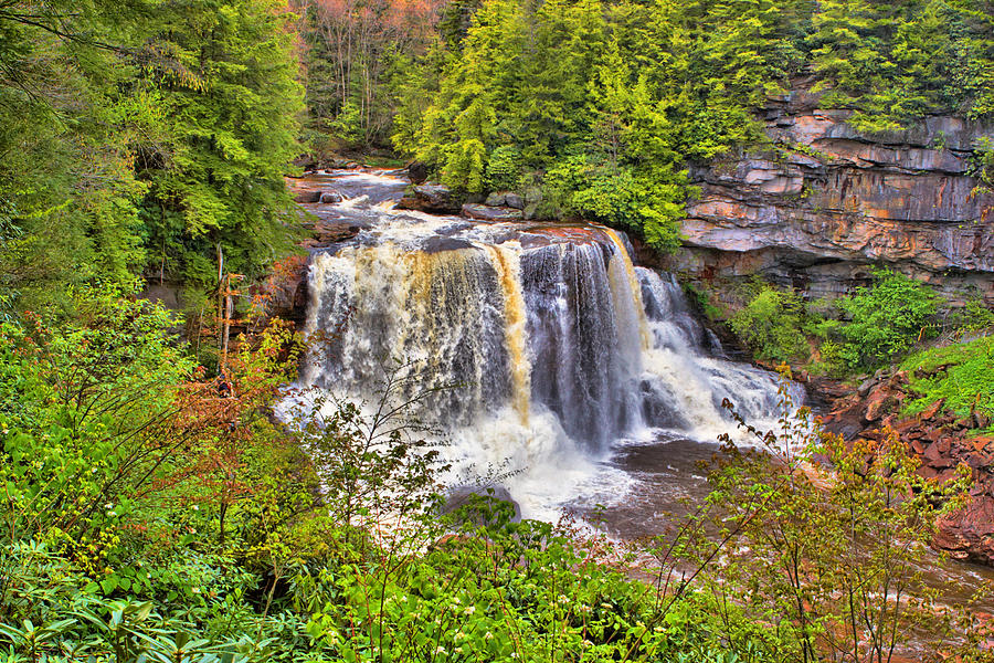 Blackwater Falls SP #1 Photograph by Mary Almond
