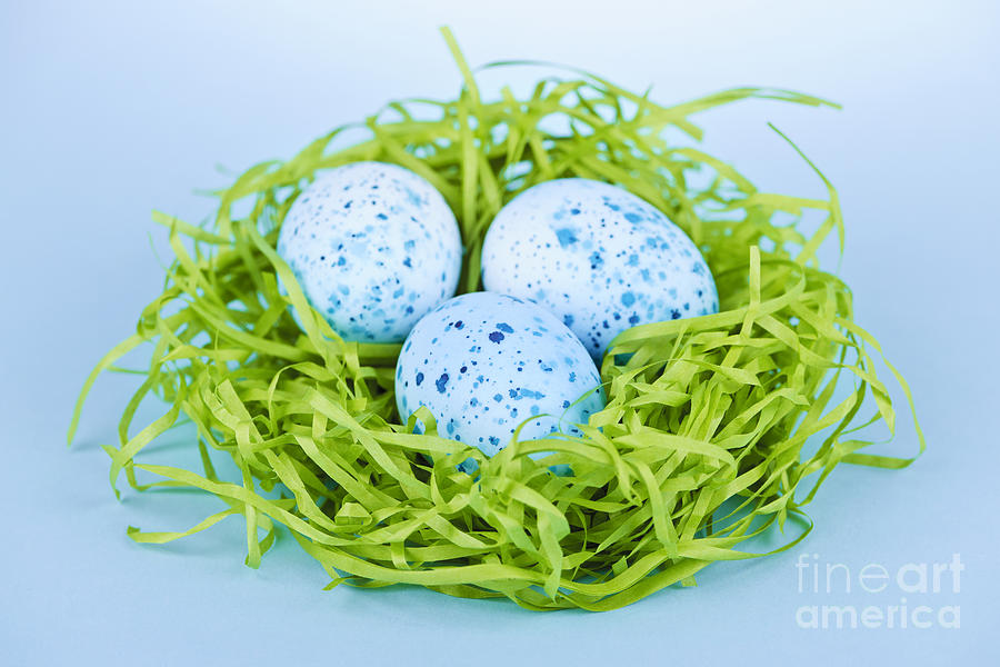 Easter Photograph - Blue Easter eggs  #3 by Elena Elisseeva