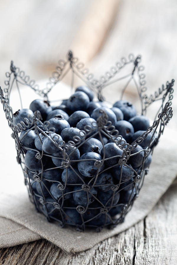 Blueberries #3 Photograph by Kati Finell