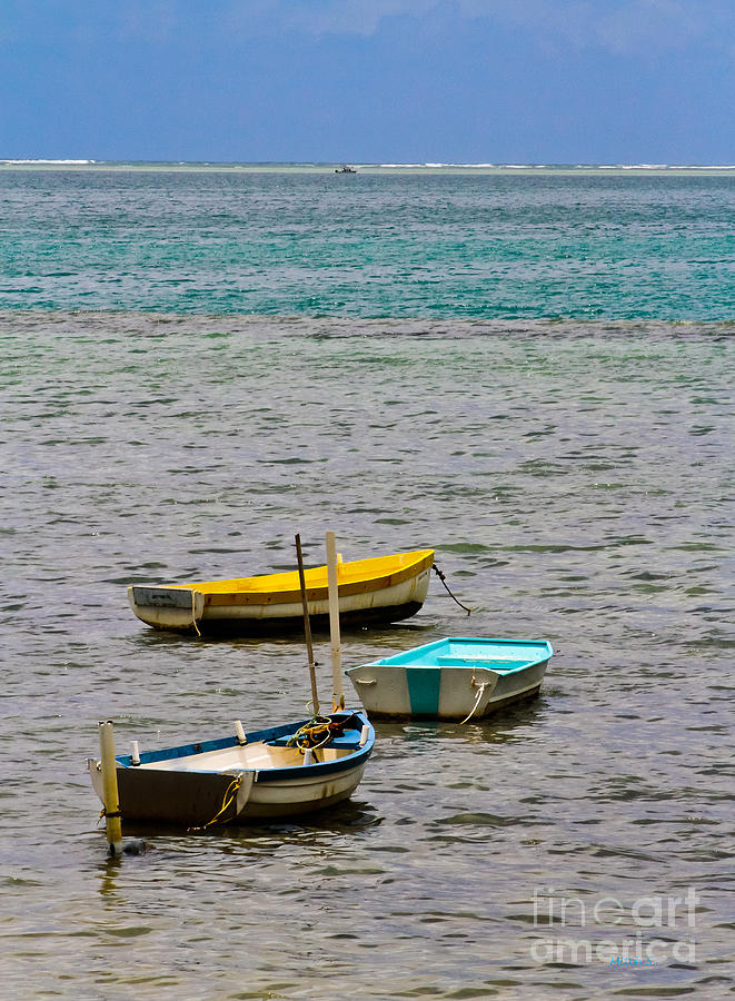 3 Boats Photograph by Mitch Shindelbower