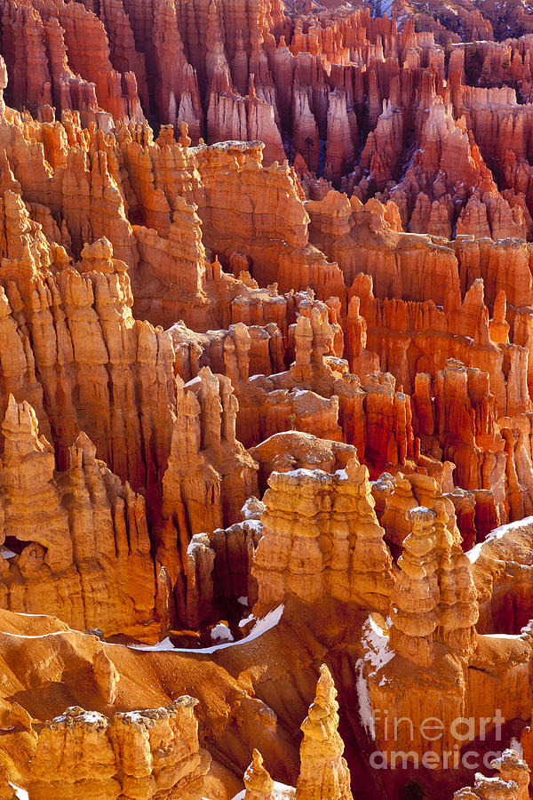 Bryce Canyon VI Photograph by Brian Jannsen