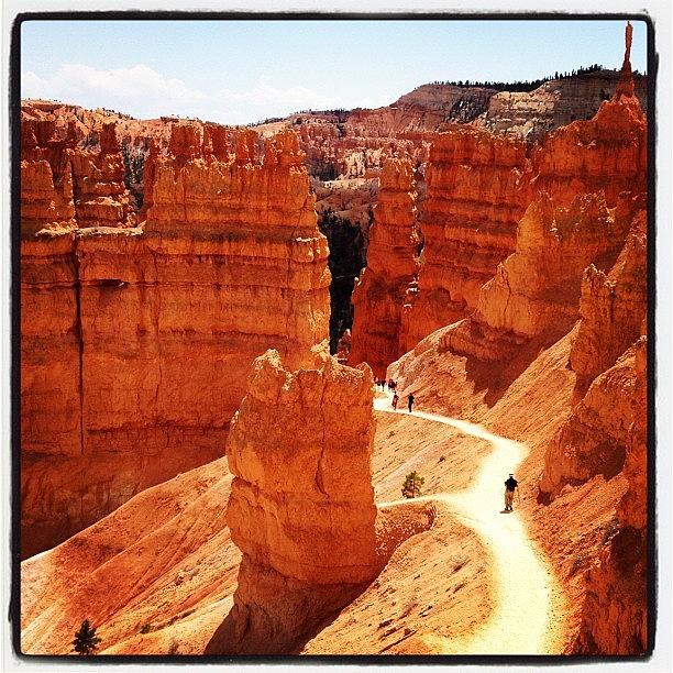 Nature Photograph - Bryce Canyon #3 by Isabel Poulin