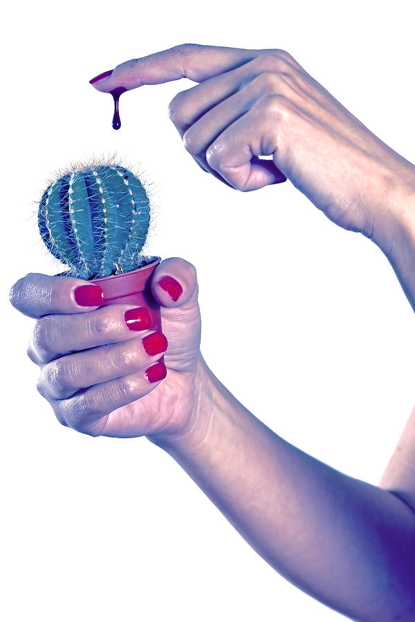 Finger Photograph - Cactus #3 by Joana Kruse