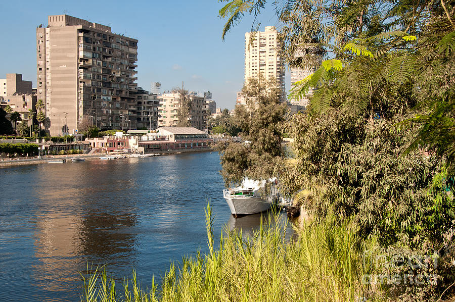 Cairo City Streets #3 Digital Art by Carol Ailles
