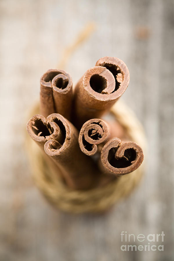 Cinnamon sticks #3 Photograph by Kati Finell