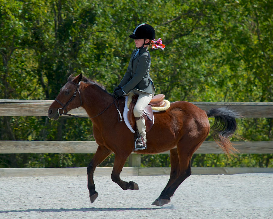 Class 20 Hunt Seat Equitation by Mark Dodd