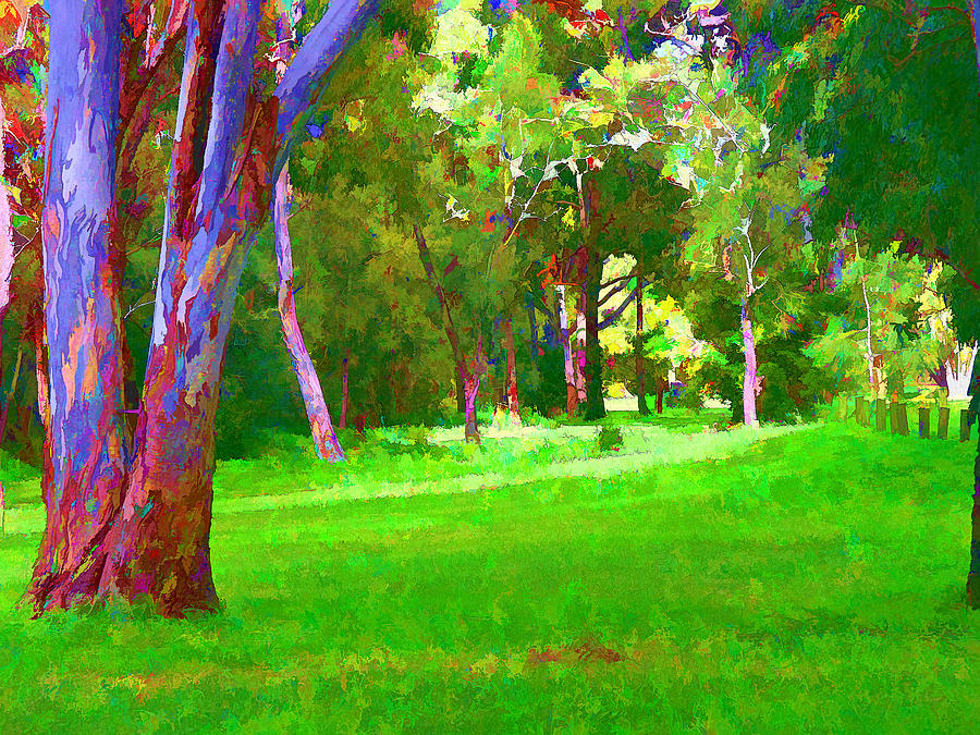 Colourful parkland #3 Digital Art by Fran Woods