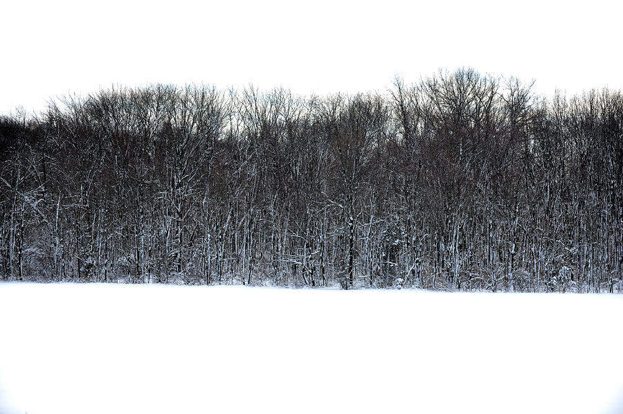 Winter Photograph - Cook Estate #3 by Frank DiGiovanni