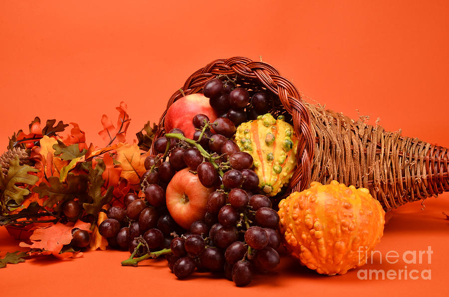 Cornucopia  #3 Photograph by Timothy OLeary