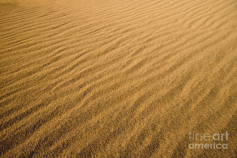 Death Valley California Sand Dunes #3 Photograph by ELITE IMAGE photography By Chad McDermott