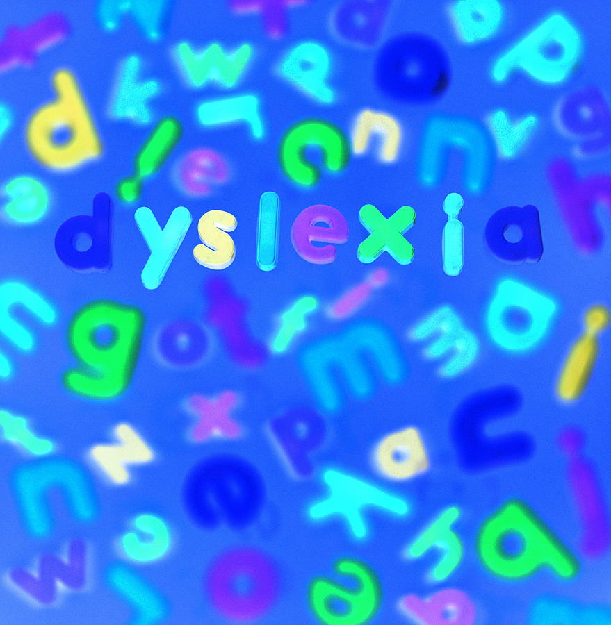 Magnet Photograph - Dyslexia #3 by Kevin Curtis