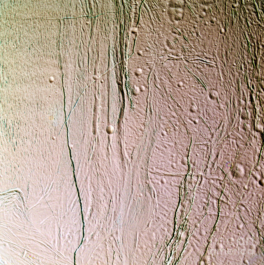 Enceladus Surface Photograph by NASA Science Source