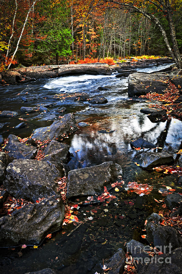 Fall Forest And River Landscape 2 Photograph