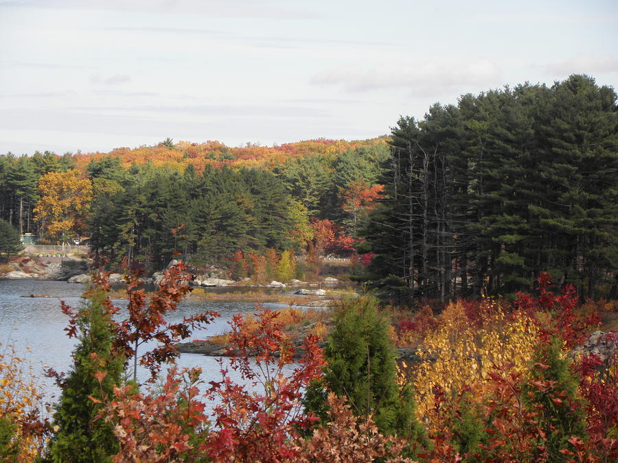 Fall in New England Photograph by Kim Galluzzo Wozniak