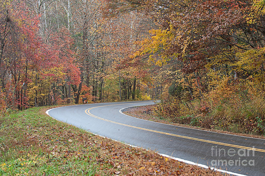 Fall In North Carolina Photograph
