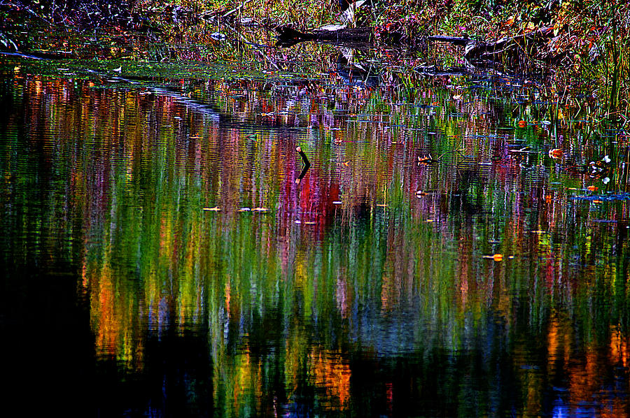 Fall Reflections #3 Photograph by Prince Andre Faubert