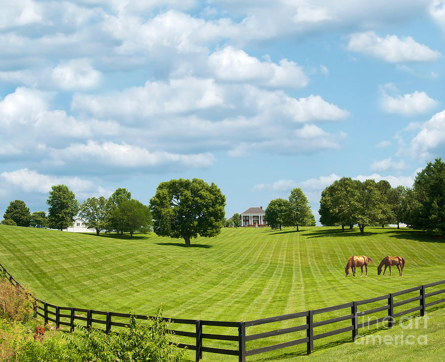 Farm in Kentucky USA Photograph by Anne Kitzman - Fine Art America