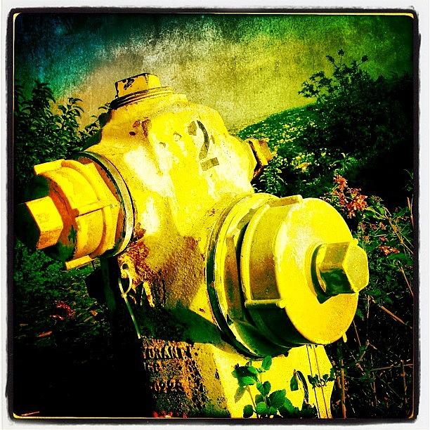 Sign Photograph - Fire Hydrant #3 by Torgeir Ensrud