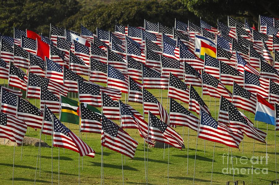 Flags #3 Photograph by Marc Bittan