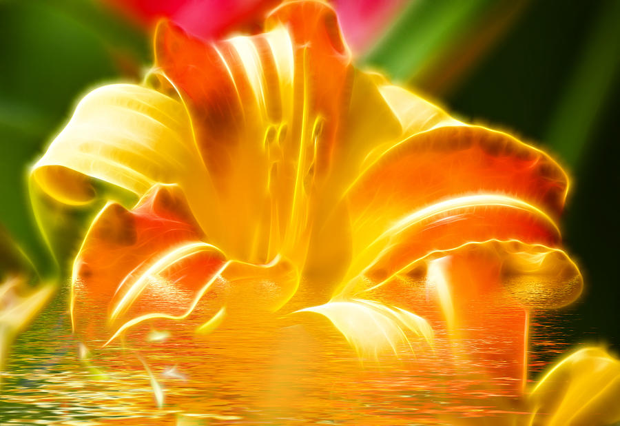 Floral Fractals and Floods Digital Art #3 Photograph by David French