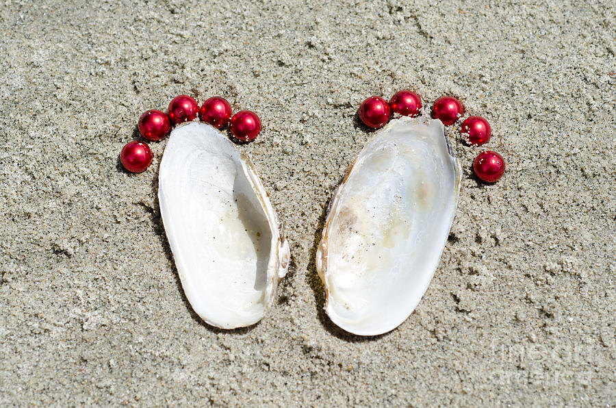 Shell Photograph - Footprints #3 by Mats Silvan