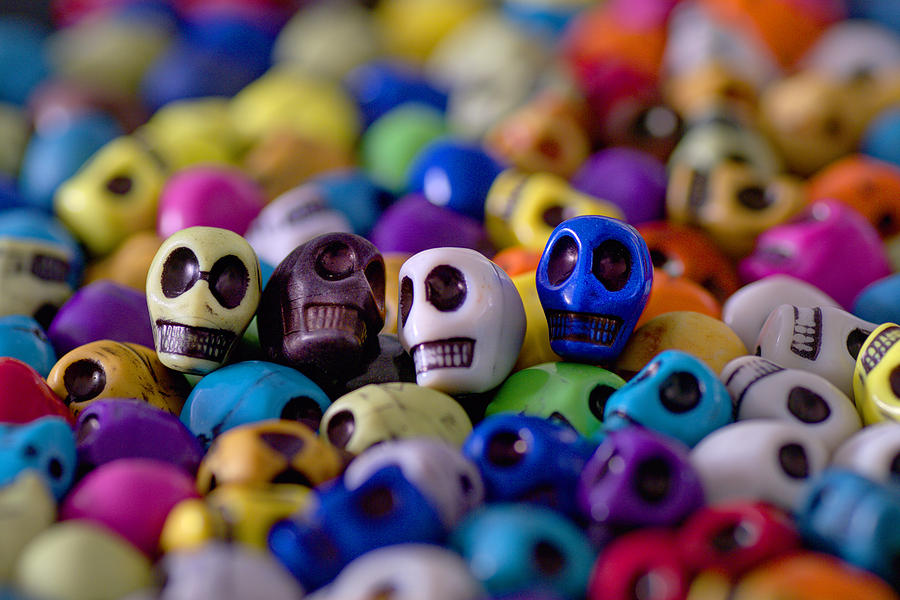 Skull Photograph - Friends #3 by Mike Herdering