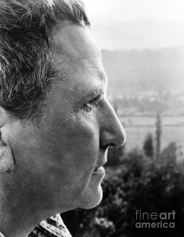 Portrait Photograph - Gertrude Stein (1874-1946) #3 by Granger