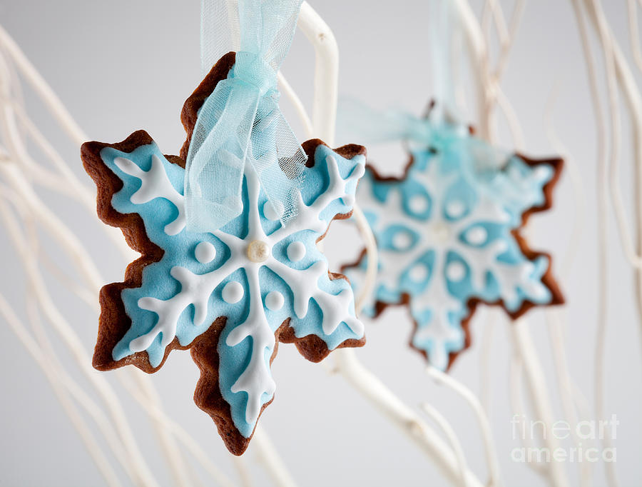 Candy Photograph - Gingerbread cookies #3 by Kati Finell