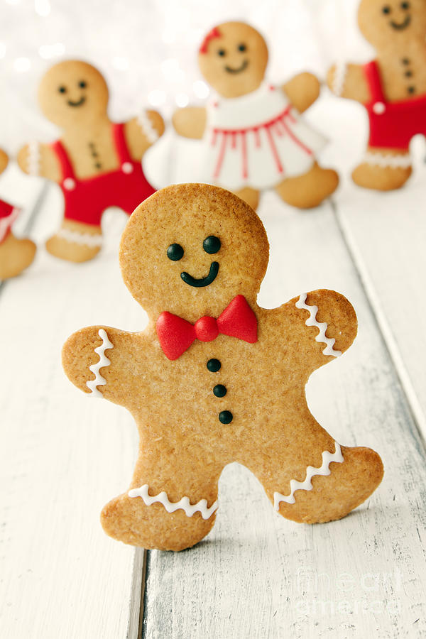 Christmas Photograph - Gingerbread man #3 by Ruth Black