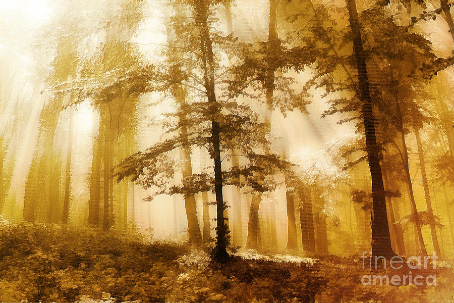 Golden forest Painting by Odon Czintos Fine Art America