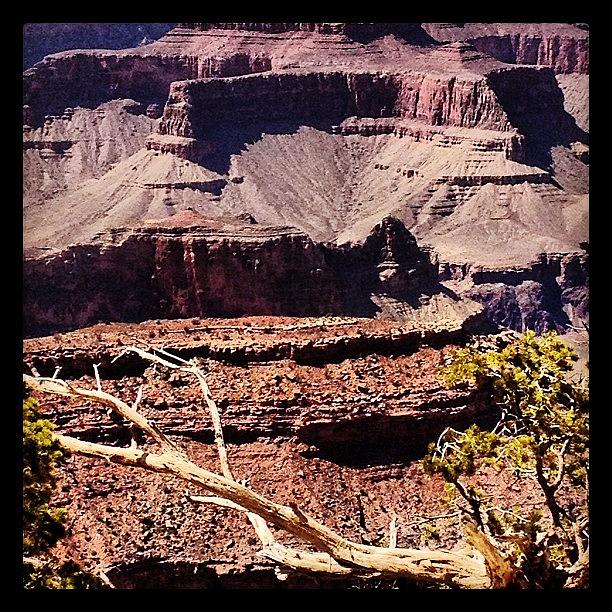 Prehistoric Photograph - Grand Canyon #3 by Isabel Poulin