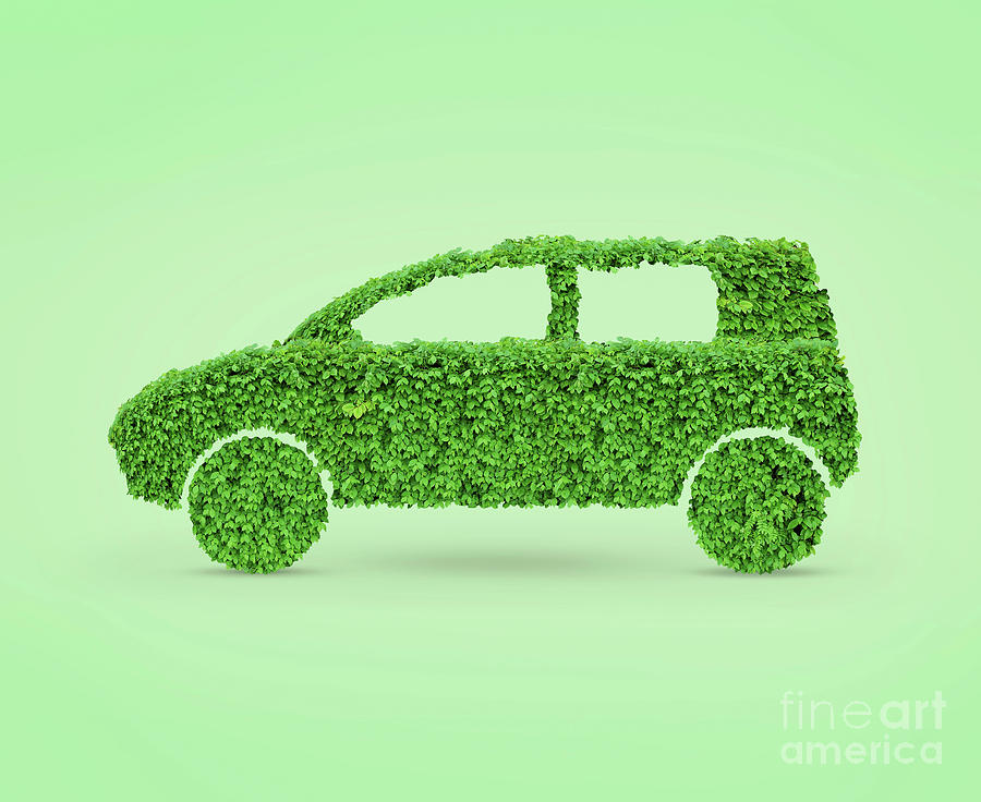Nature Photograph - Green Car #3 by Maxim Images Exquisite Prints