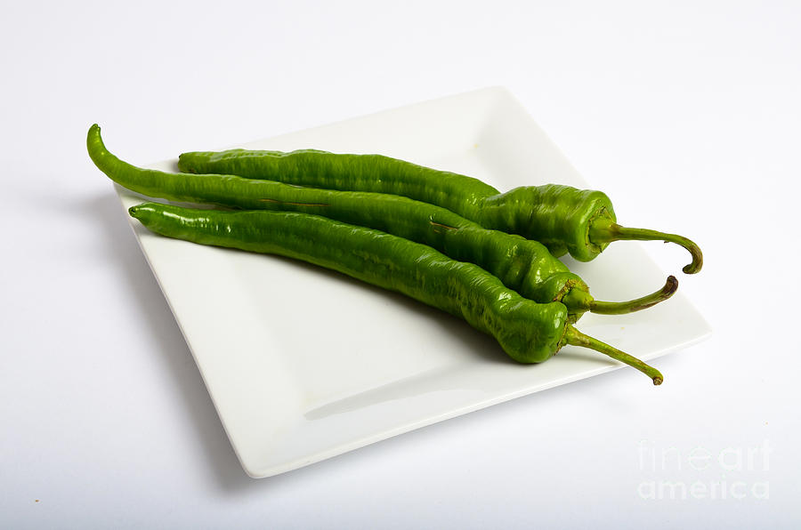 Green Chili Pepper #3 Photograph by Photo Researchers, Inc.