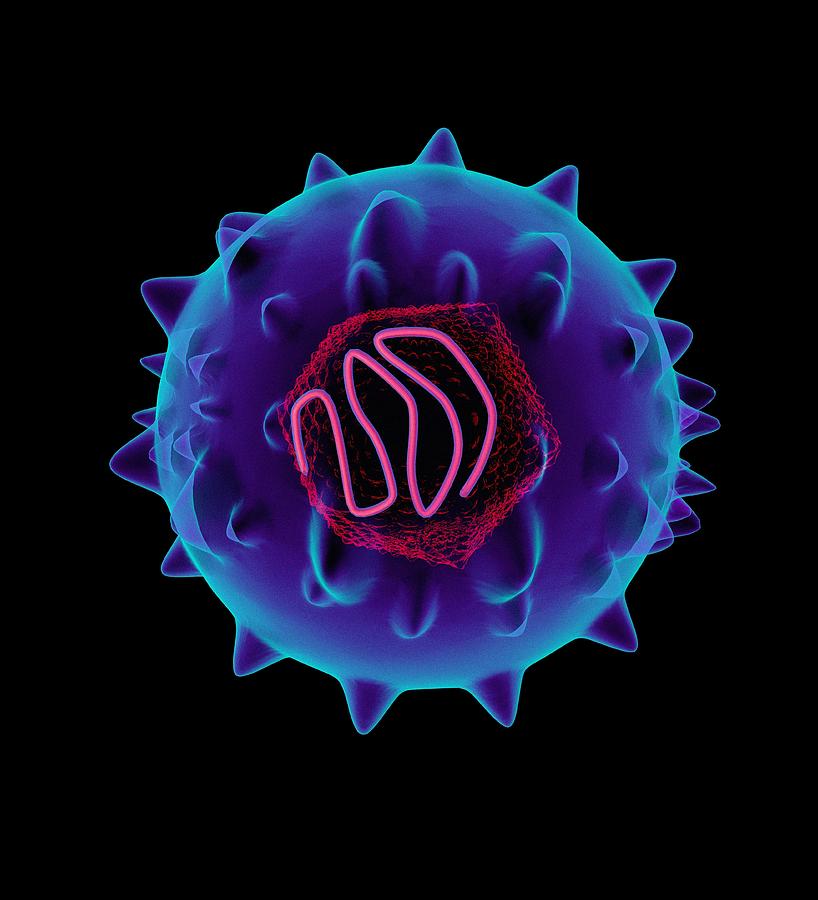 Virus art. Вирусы в биотехнологии.