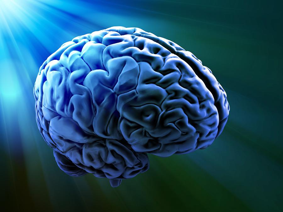 Human Brain, Artwork #3 Digital Art by Andrzej Wojcicki
