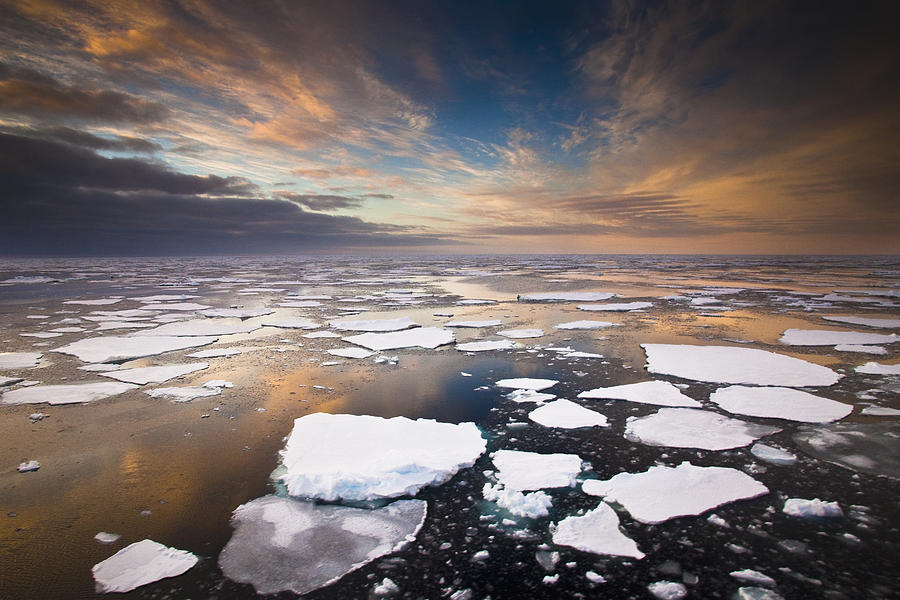 Ice Floes At Sunset Near Mertz Glacier #3 Photograph by Colin Monteath