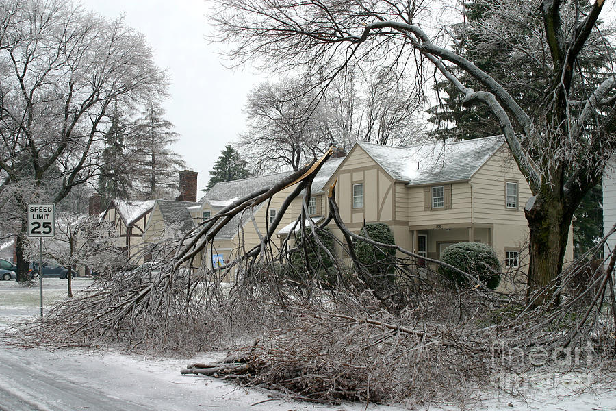 Ice Storm #3 Photograph by Ted Kinsman