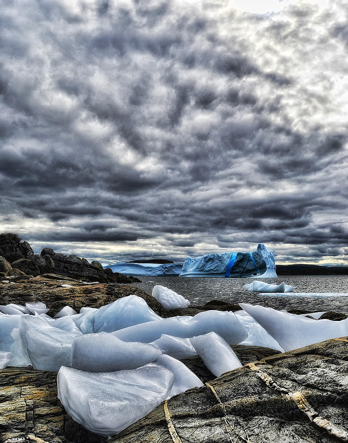 Icebergs at St. Anthony #3 Photograph by Steve Hurt