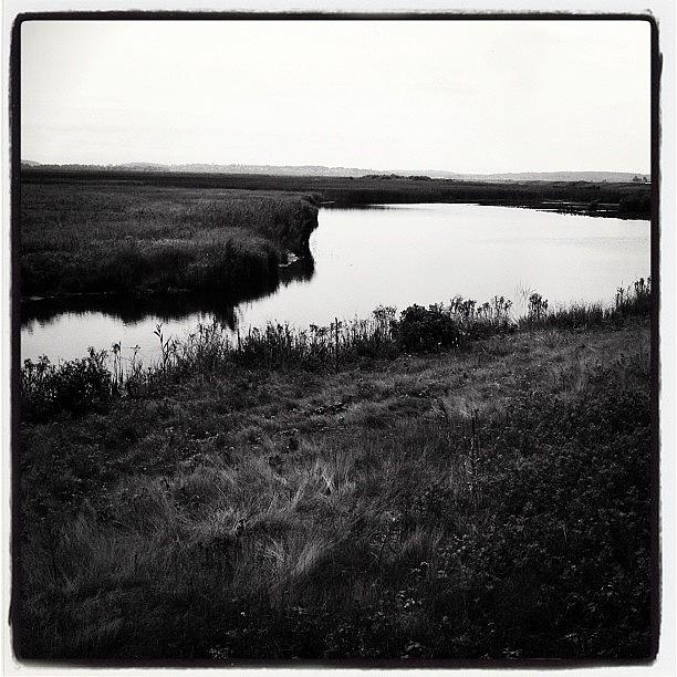 Black & White Photograph - Instagram Photo #3 by Lisa Parker