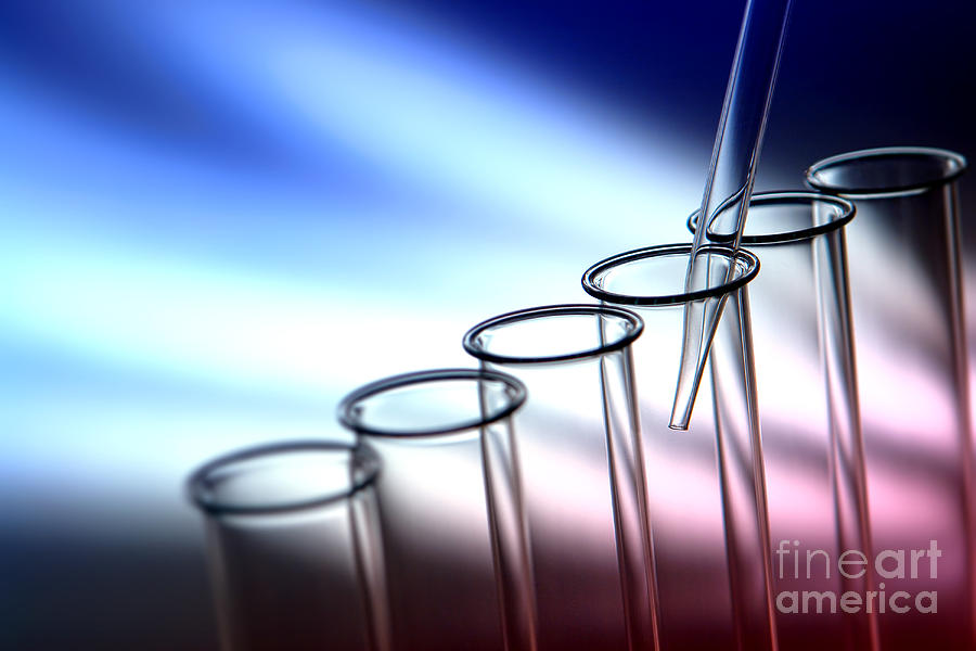 Test Photograph - Laboratory Test Tubes in Science Research Lab #3 by Science Research Lab