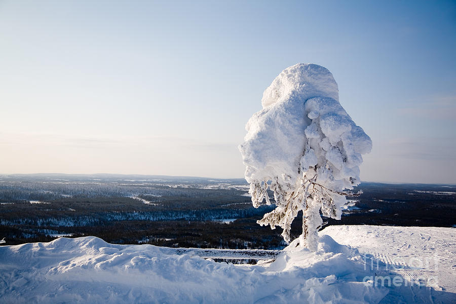 Lapland Finland #3 Photograph by Kati Finell