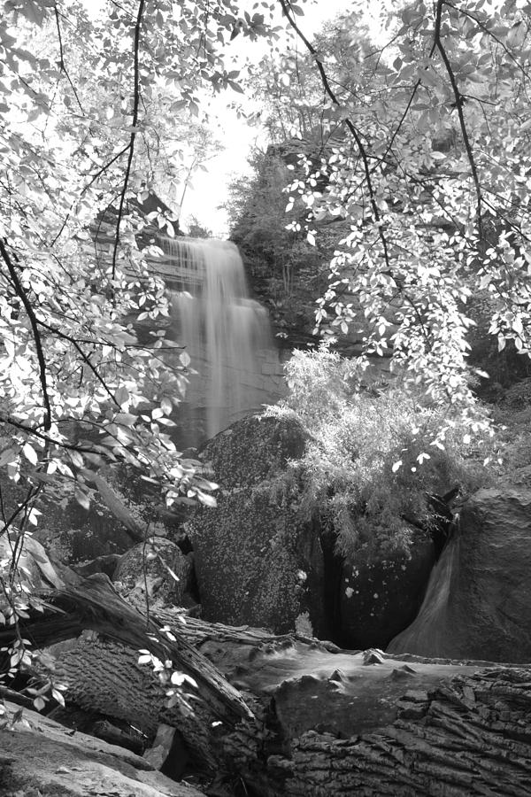 Laurel Falls #3 Photograph by David Troxel