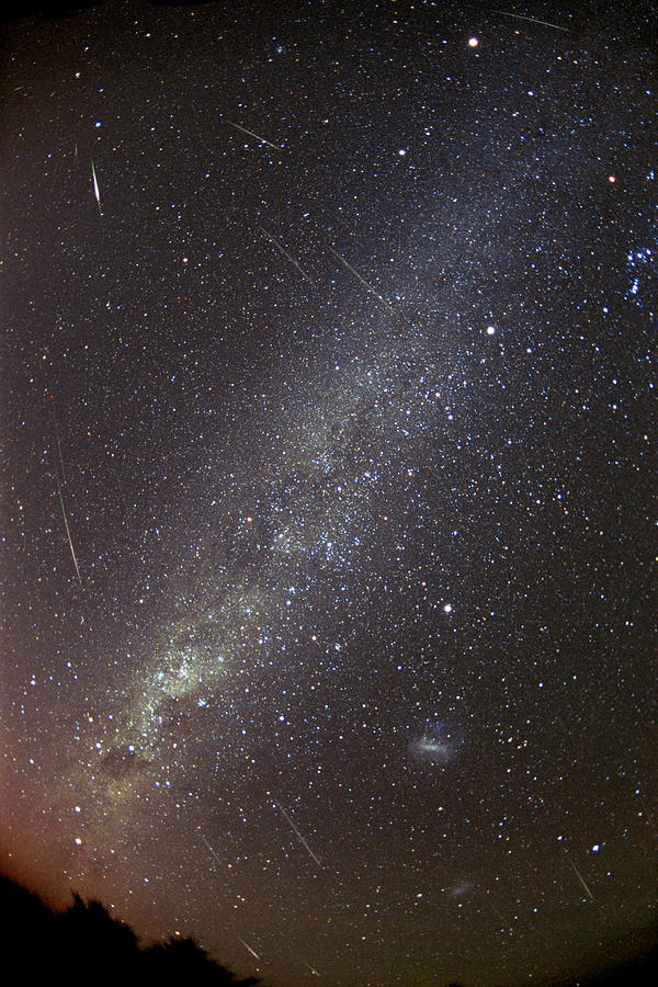 Leonid Meteors #3 Photograph by Dr Fred Espenak