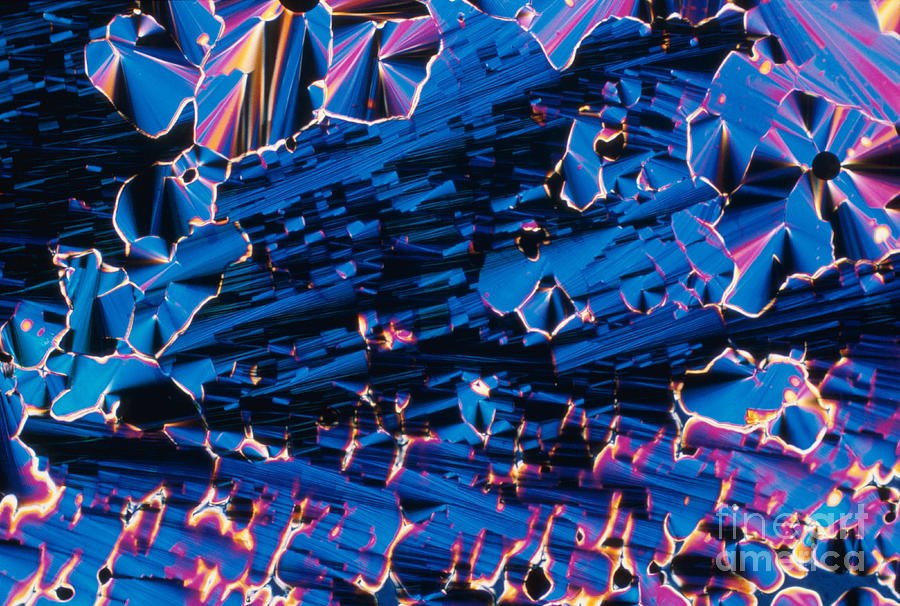Liquid Crystalline Dna #3 Photograph by Michael W. Davidson
