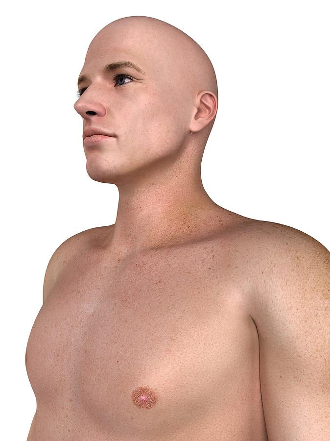 Male Upper Body, Artwork #3 Digital Art by Sciepro