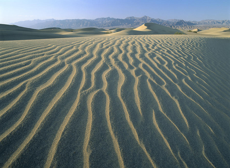 Mesquite Flat Sand Dunes Death Valley #3 Photograph by Tim Fitzharris