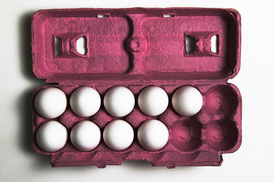 3 More Eggs Equals A Dozen Photograph by Photo Researchers, Inc.