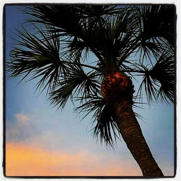 Nature Photograph - <3 My Condo! #florida #vacation #3 by Natalia D