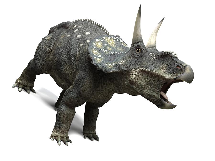 Nedoceratops Dinosaur, Artwork Photograph by Sciepro - Fine Art America